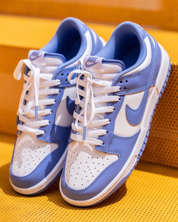 Nike Dunk Low Polar Blue